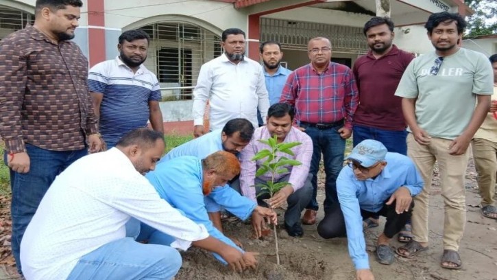 বরুড়া থানা প্রেসক্লাবের উদ্যোগে বৃক্ষরোপণ কর্মসূচি অনুষ্ঠিত