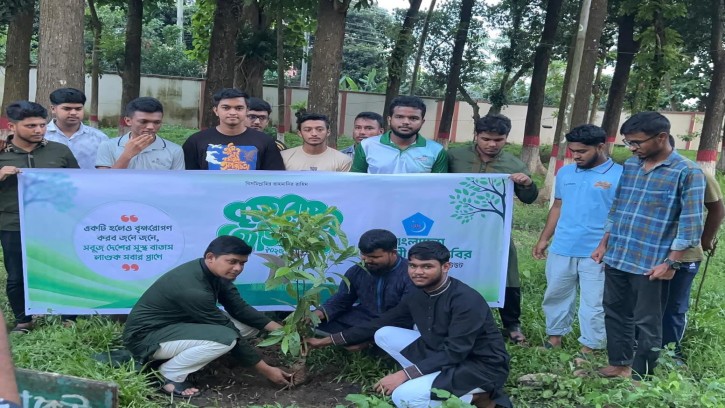 কুমিল্লা পলিটেকনিক শাখা শিবিরের বৃক্ষরোপণ কর্মসূচি