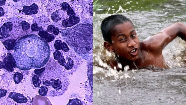 সাঁতার কাটলে নাক দিয়ে ঢুকে পড়ছে মস্তিষ্ক-খাদক পরজীবী, কেরালায় আতঙ্ক
