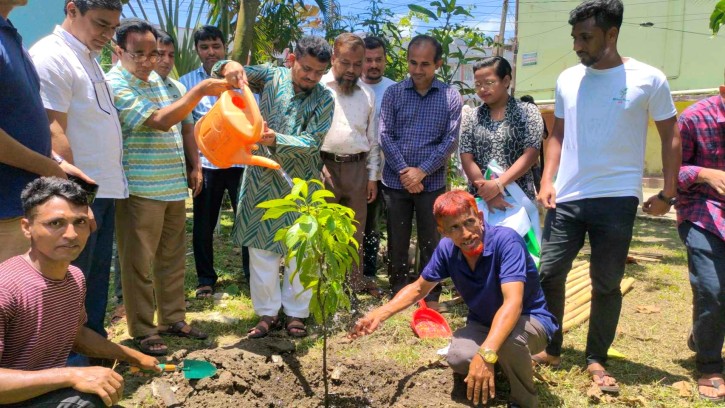 কুমিল্লা ভিক্টোরিয়া কলেজ সাংবাদিক সমিতির উদ্যোগে বৃক্ষরোপণ কর্মসূচি