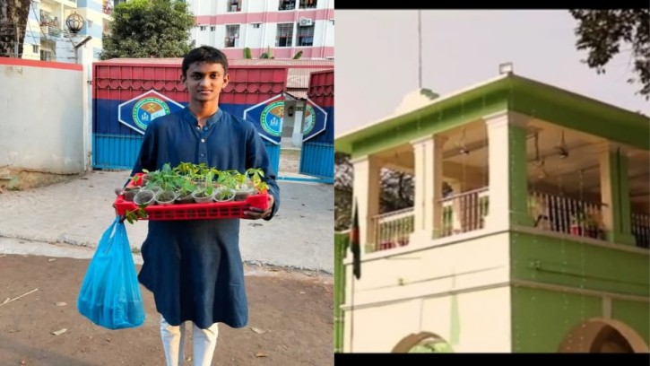 ডিসিকে গাছ উপহার দিতে গিয়ে কাঁদলেন সাংবাদিক বাবা ও তার ছেলে